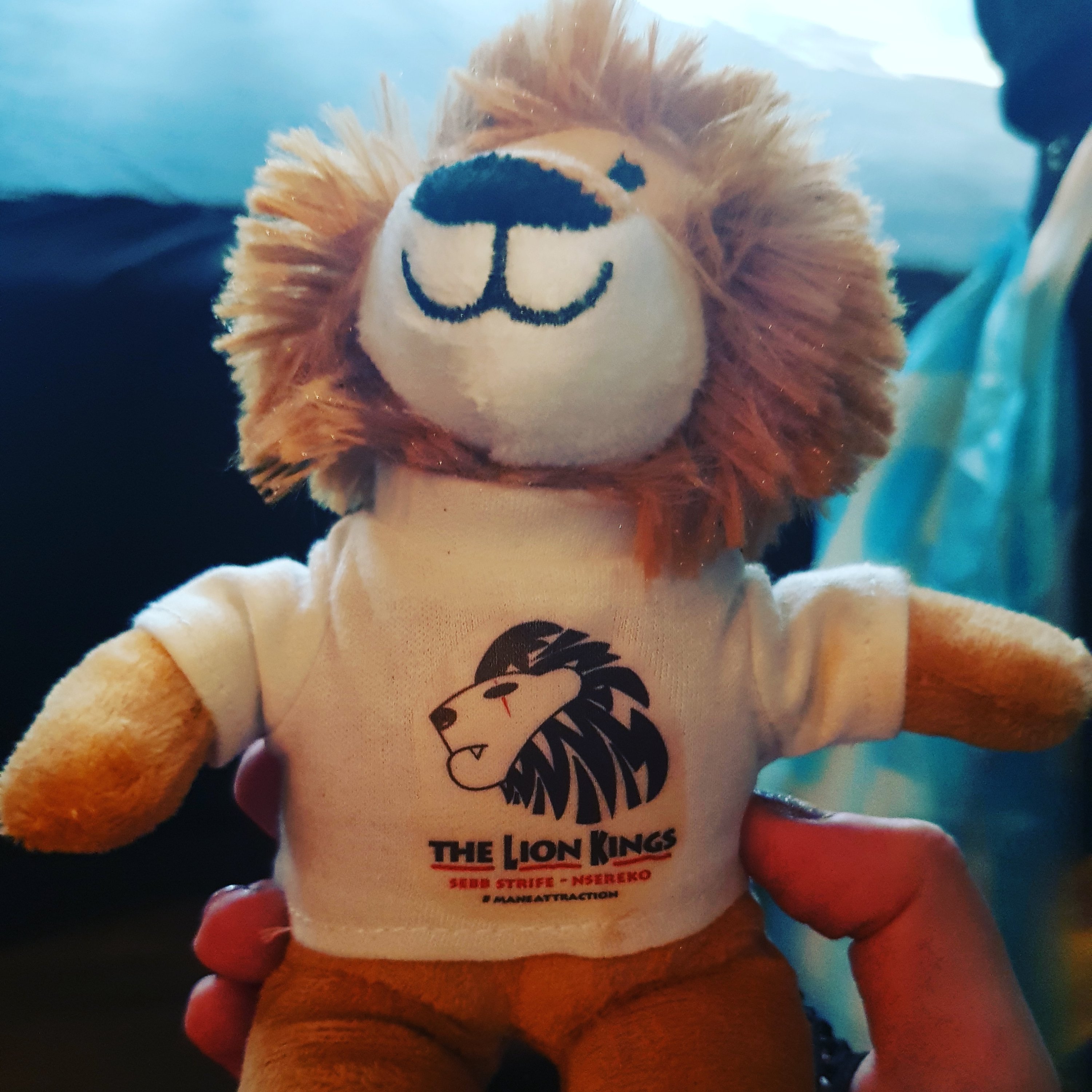 A photograph of the teddy bought at the show; it's a lion wearing a t-shirt for The Lion Kings, one of the tag-teams performing that night. I called him Sebastian Durreiss Warrior after the members of the tag team.