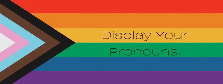 Display Your Pronouns. Black text on the progress pride flag as a backdrop.